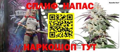 сатива Бугуруслан