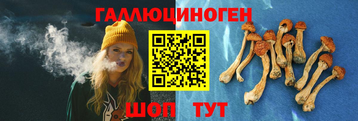 Псилоцибиновые грибы прущие грибы Чита
